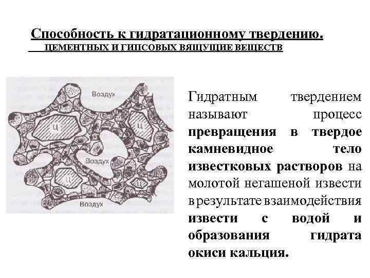  Способность к гидратационному твердению. ЦЕМЕНТНЫХ И ГИПСОВЫХ ВЯЩУЩИЕ ВЕЩЕСТВ Гидратным твердением называют процесс