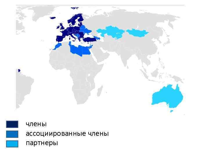  • члены • ассоциированные члены • партнеры 