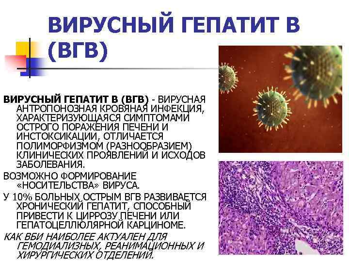 Гепатит врач отзывы. Хроническая инфекция вирусом гепатита b характеризуется. Вирусные гепатиты относящиеся к кровяным инфекциям. Источник возбудителя вирусных гепатитах b, c, d:. Гепатит б возбудитель инфекции.