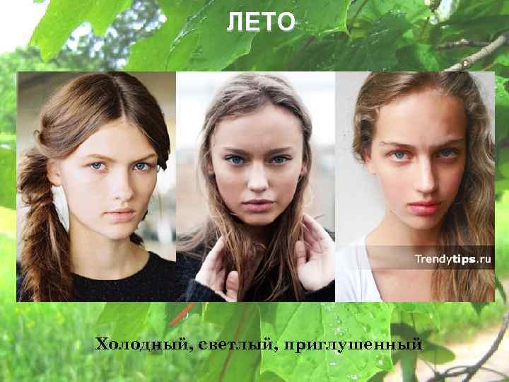 ЛЕТО Холодный, светлый, приглушенный 