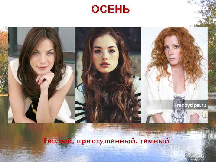 ОСЕНЬ Теплый, приглушенный, темный 