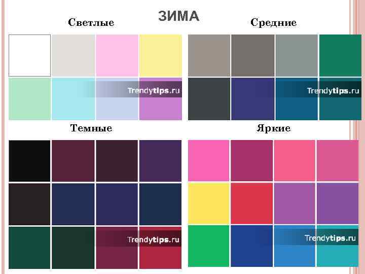 Светлые Темные ЗИМА Средние Яркие 