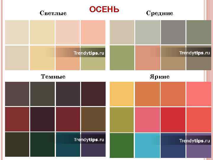 Светлые Темные ОСЕНЬ Средние Яркие 