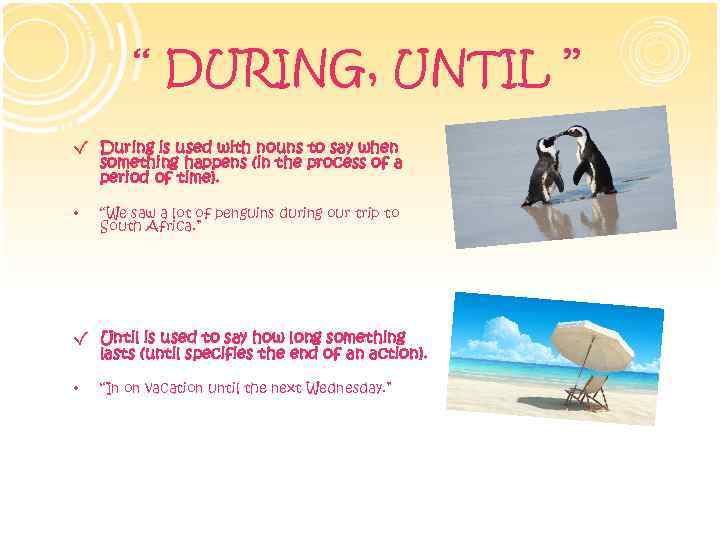 ‘‘ DURING, UNTIL ’’ √ During is used with nouns to say when something