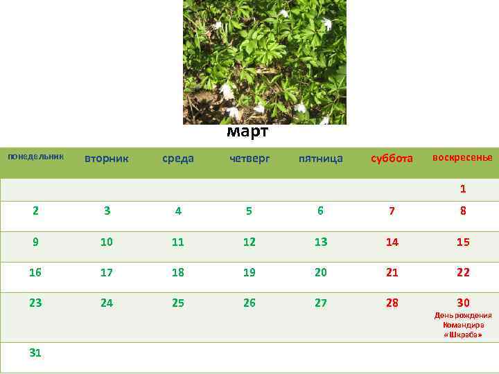 март понедельник вторник среда четверг пятница суббота воскресенье 1 2 3 4 5 6