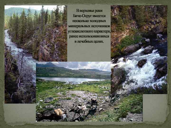 В верховья реки Биче-Осруг имеется несколько холодных минеральных источников углекислотного характера, ранее использовавшихся в