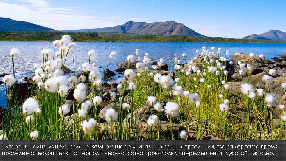 Путораны - одна из немногих на Земном шаре уникальных горных провинций, где за короткое