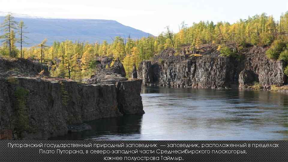 Путоранский заповедник презентация