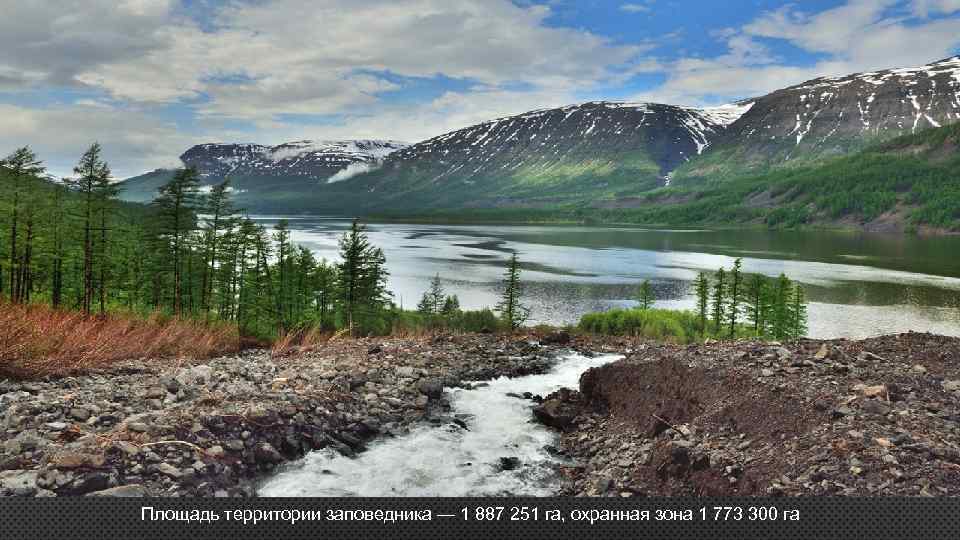 Площадь территории заповедника — 1 887 251 га, охранная зона 1 773 300 га