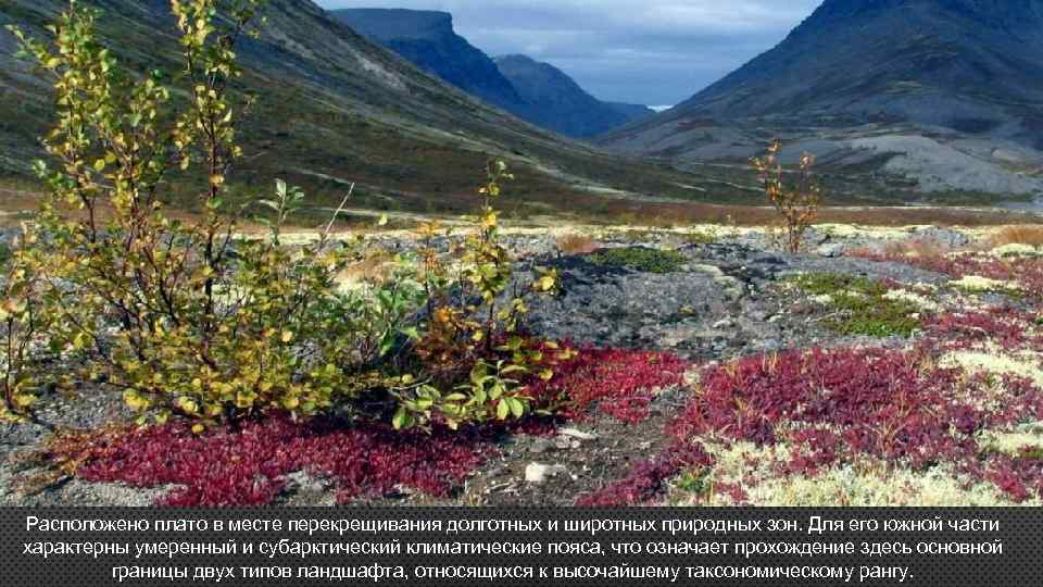 Расположено плато в месте перекрещивания долготных и широтных природных зон. Для его южной части