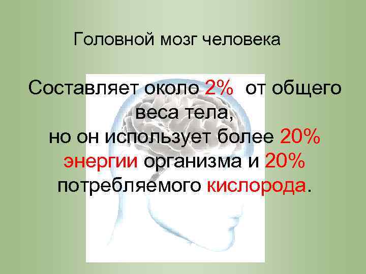 Головной мозг человека Составляет около 2% от общего веса тела, но он использует более