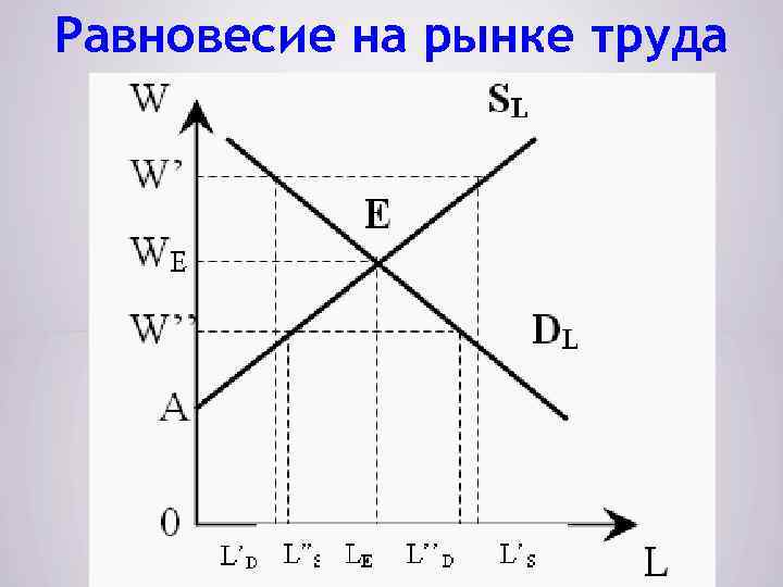 Равновесие на рынке труда 