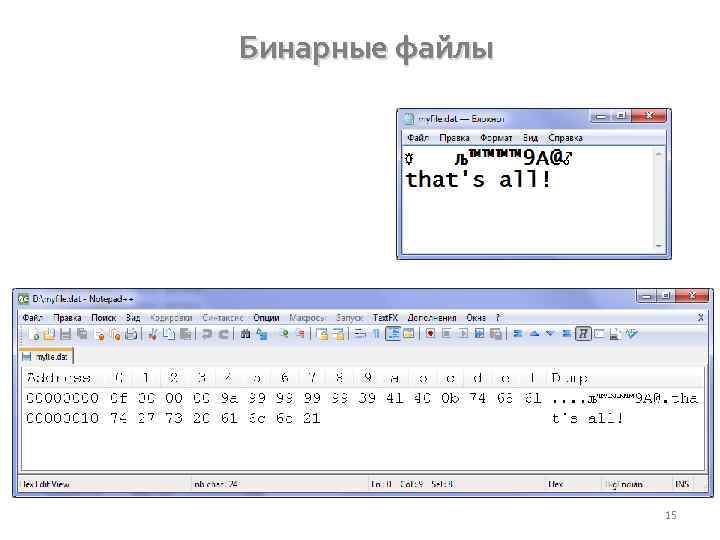 Бинарные файлы 15 