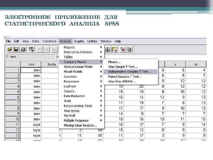 ЭЛЕКТРОННОЕ ПРИЛОЖЕНИЕ ДЛЯ СТАТИСТИЧЕСКОГО АНАЛИЗА SPSS 