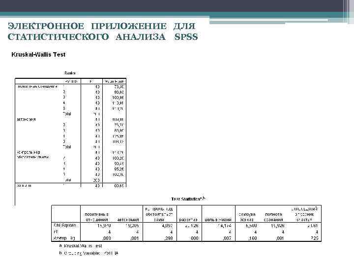 ЭЛЕКТРОННОЕ ПРИЛОЖЕНИЕ ДЛЯ СТАТИСТИЧЕСКОГО АНАЛИЗА SPSS 