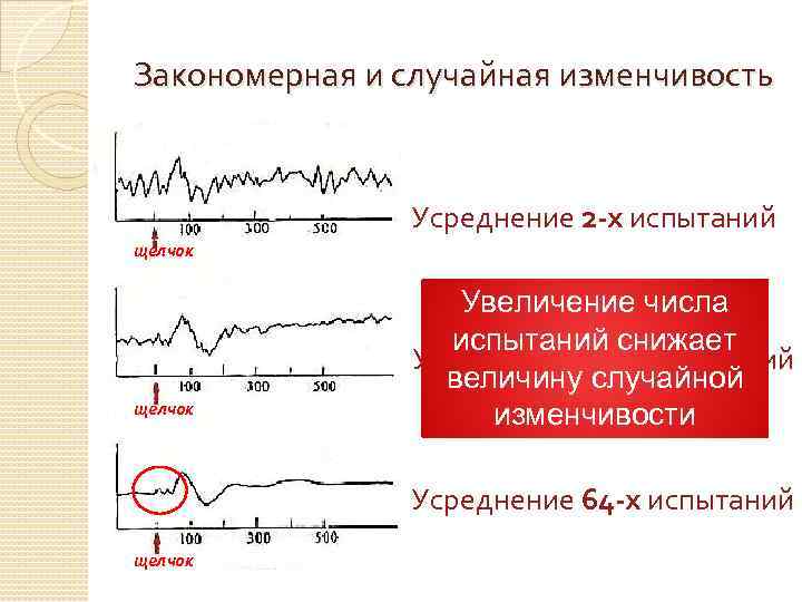 Случайная изменчивость 7 класс вероятность. Явление случайной изменчивости. Случайная изменчивость точность измерений. Определение случайной изменчивости. Явление случайной изменчивости обусловлено.