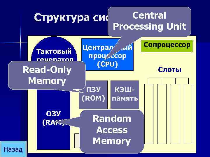Central Структура системной платы Processing Unit Тактовый генератор Read-Only Memory ОЗУ (RAM) Назад Центральный