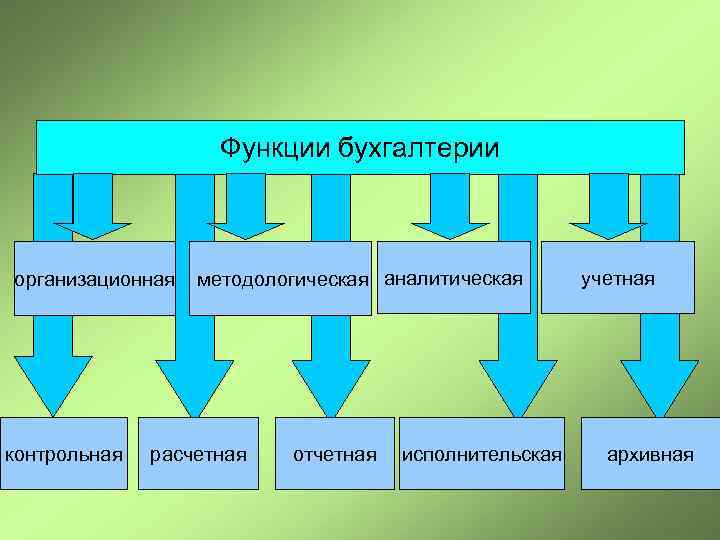 Функции бухгалтерии организационная контрольная методологическая аналитическая расчетная отчетная исполнительская учетная архивная 