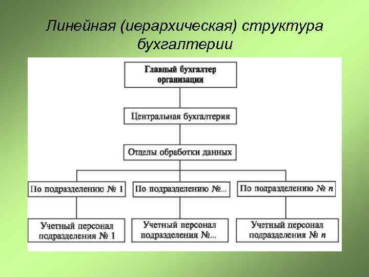 Линейная (иерархическая) структура бухгалтерии 