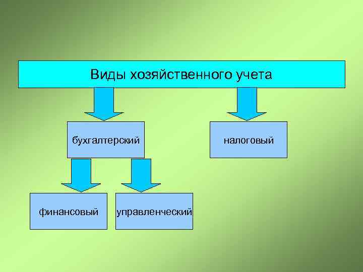 Виды хозяйственного учета бухгалтерский финансовый управленческий налоговый 