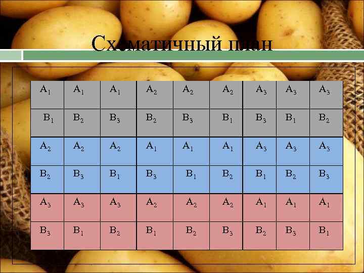 Схематичный план А 1 А 1 А 2 А 2 А 3 А 3