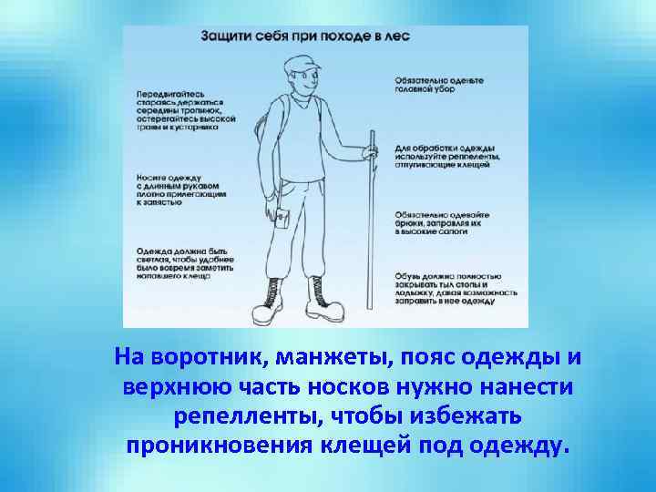 На воротник, манжеты, пояс одежды и верхнюю часть носков нужно нанести репелленты, чтобы избежать