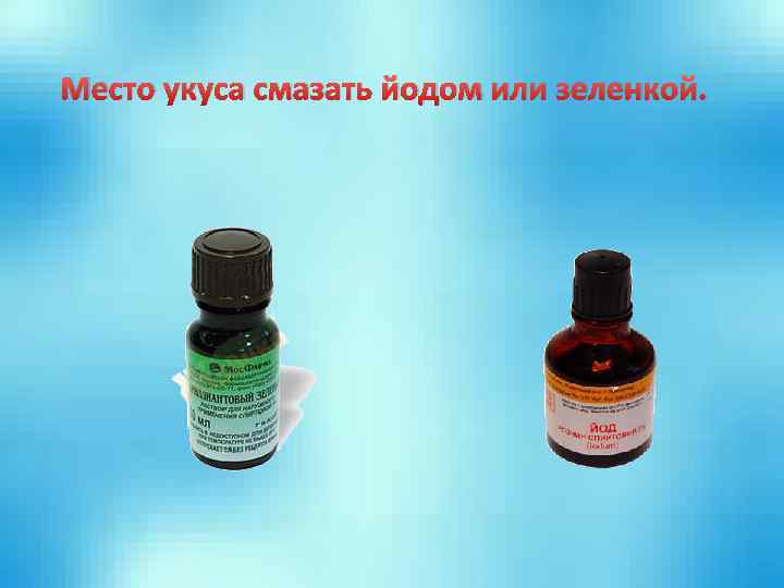 Место укуса смазать йодом или зеленкой. 