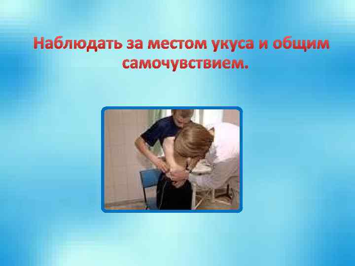 Наблюдать за местом укуса и общим самочувствием. 
