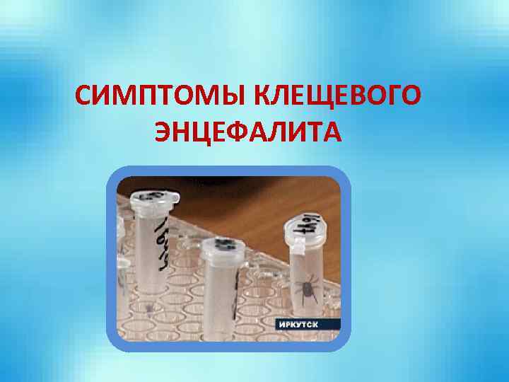 СИМПТОМЫ КЛЕЩЕВОГО ЭНЦЕФАЛИТА 
