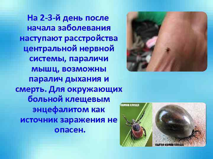 На 2 -3 -й день после начала заболевания наступают расстройства центральной нервной системы, параличи