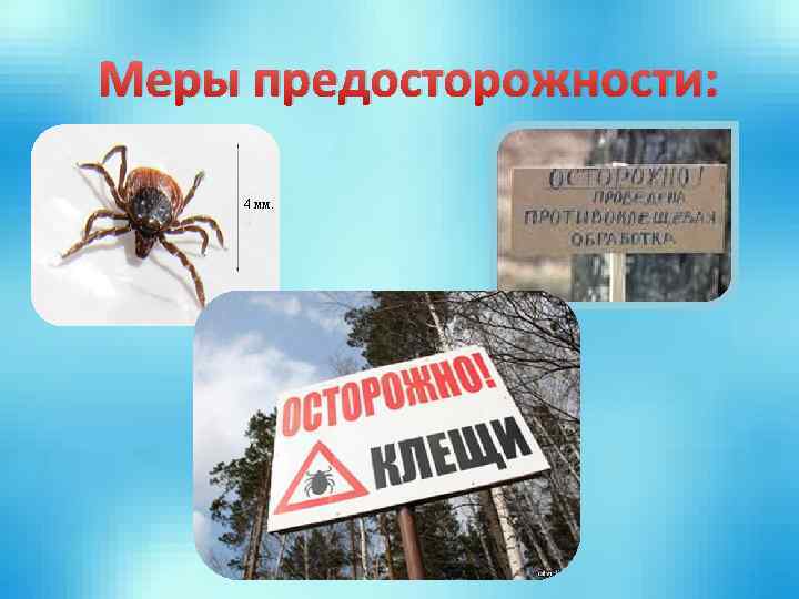 Меры предосторожности: 