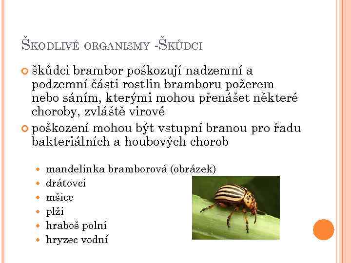 ŠKODLIVÉ ORGANISMY -ŠKŮDCI škůdci brambor poškozují nadzemní a podzemní části rostlin bramboru požerem nebo