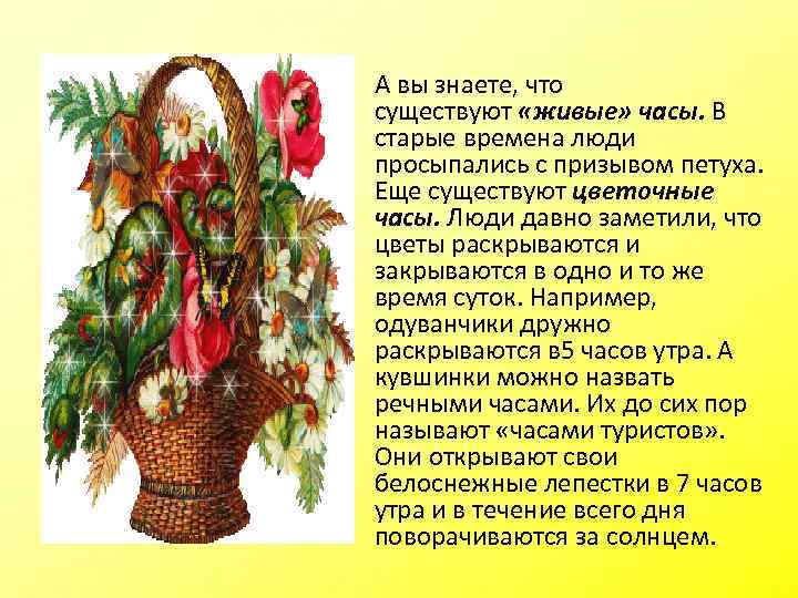  • А вы знаете, что существуют «живые» часы. В старые времена люди просыпались