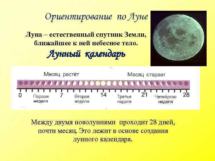 Ориентирование по Луне Луна – естественный спутник Земли, ближайшее к ней небесное тело. Лунный