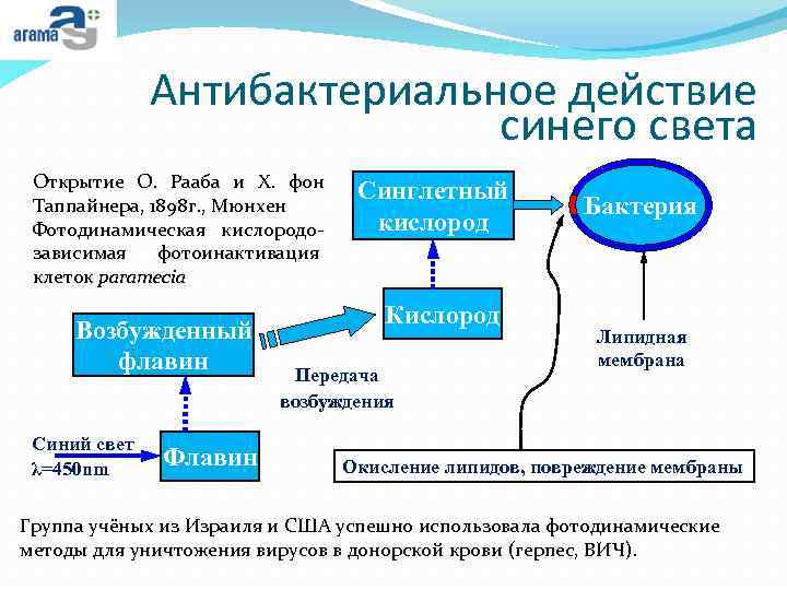 Антибактериальное действие синего света Открытие О. Рааба и Х. фон Таппайнера, 1898 г. ,