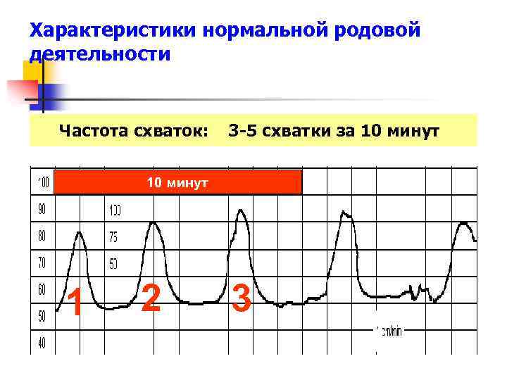 Характеристики нормальной родовой деятельности Частота схваток: 3 -5 схватки за 10 минут 1 2