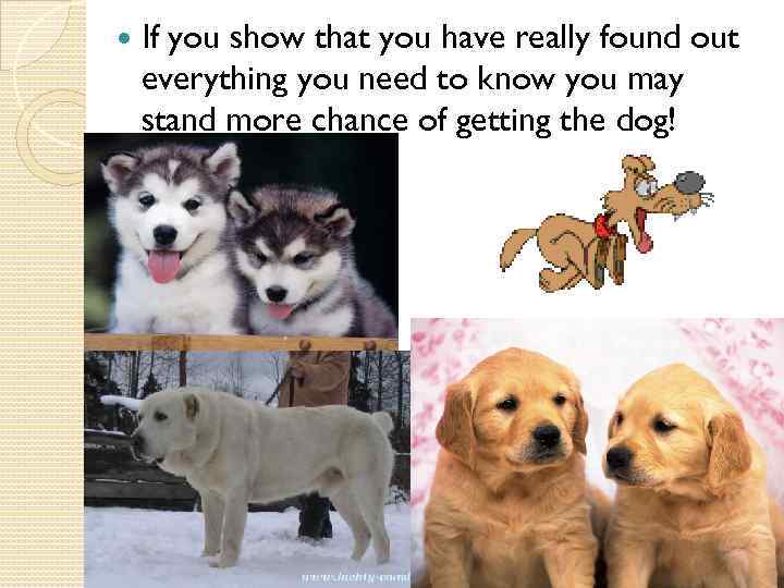  If you show that you have really found out everything you need to