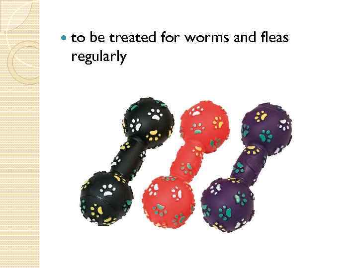  to be treated for worms and fleas regularly 