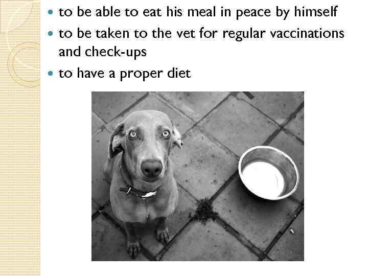 to be able to eat his meal in peace by himself to be taken