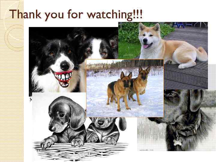 Thank you for watching!!! 