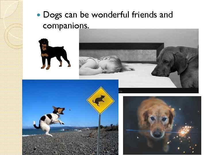  Dogs can be wonderful friends and companions. 