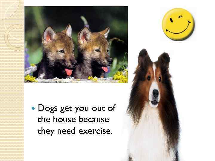  Dogs get you out of the house because they need exercise. 