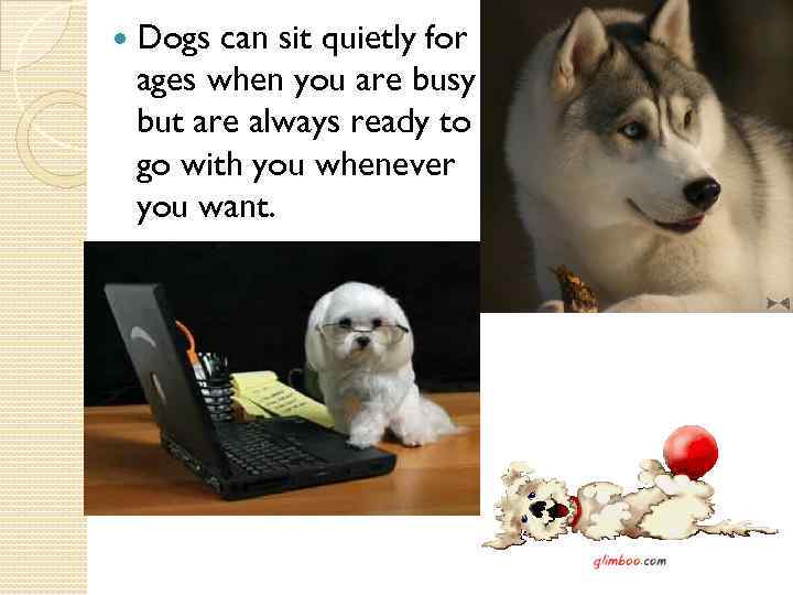  Dogs can sit quietly for ages when you are busy but are always