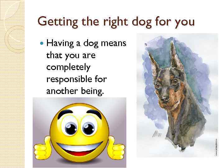 Getting the right dog for you Having a dog means that you are completely