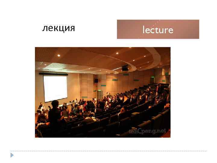 лекция lecture 