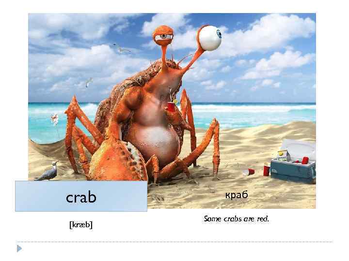 crab [kræb] краб Some crabs are red. 