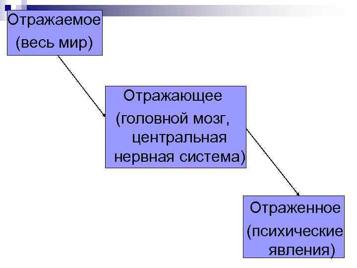 Отражаемое (весь мир) Отражающее (головной мозг, центральная нервная система) Отраженное (психические явления) 