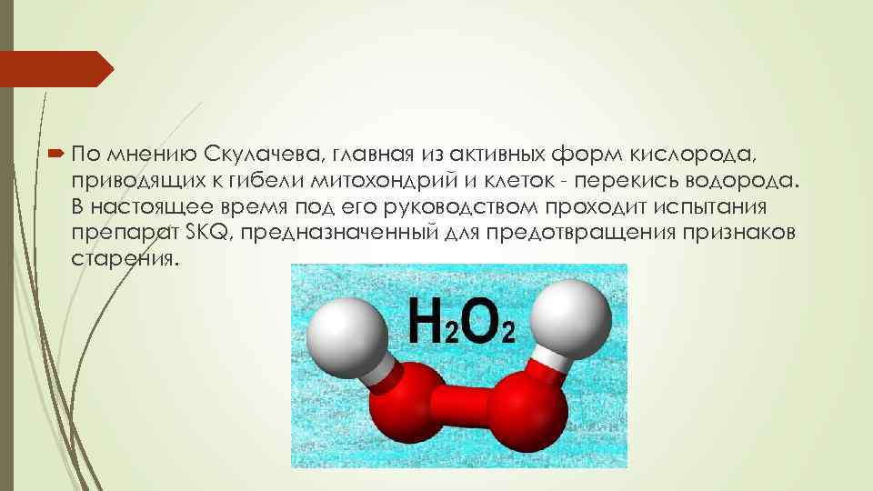  По мнению Скулачева, главная из активных форм кислорода, приводящих к гибели митохондрий и