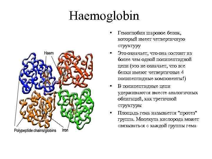 Haemoglobin • • Гемоглобин шаровое белок, который имеет четвертичную структуру Это означает, что она