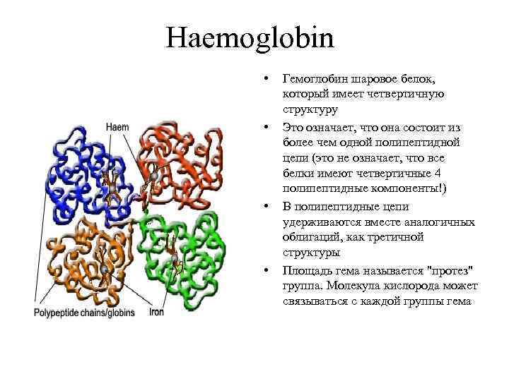 Белок обладает. Гемоглобин белок четвертичной структуры. Четвертичная структура гемоглобина. Четвертичная структура белка гемоглобина. Белковая структура гемоглобина.